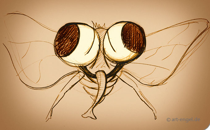 Studien von Frank Engel 