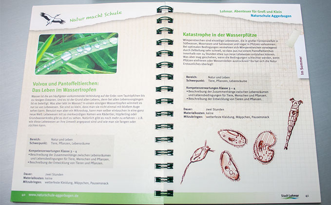 Natur macht Schule Programm 2014 und NaBu